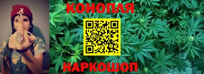 jwh Бердск