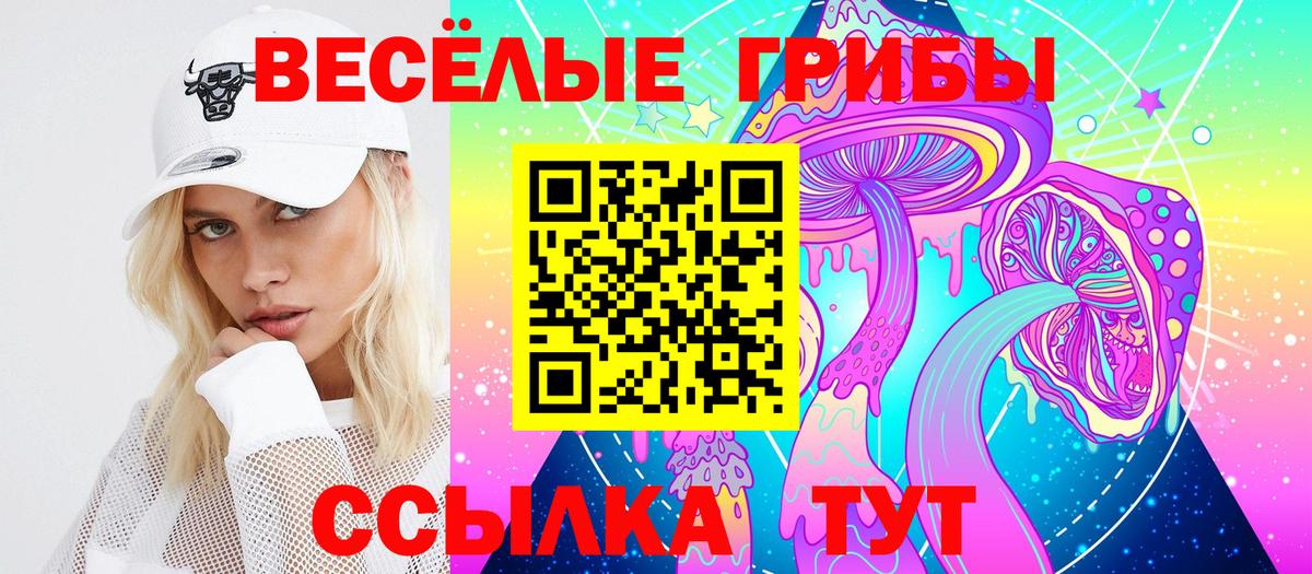 Псилоцибиновые грибы ЛСД  где продают   Йошкар-Ола  Вход с VPN 